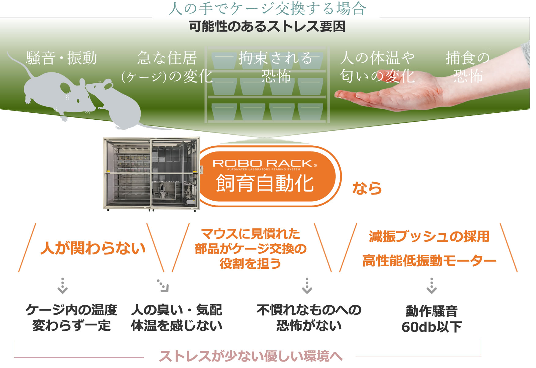 ロボラックの飼育の自動化を通して